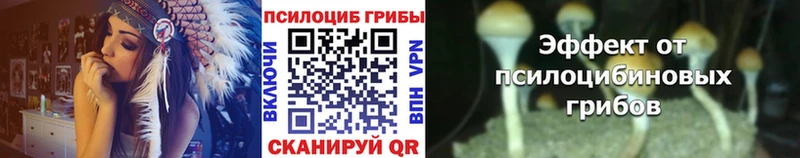 Галлюциногенные грибы MAGIC MUSHROOMS Пермь